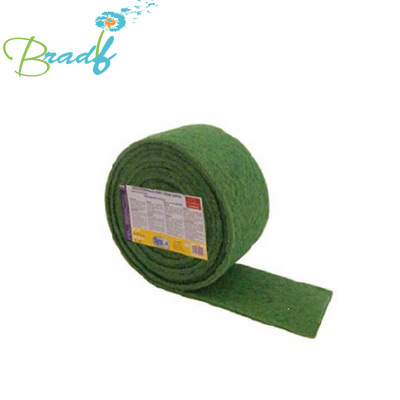 Rouleau Abrasif Vert